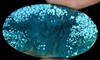 Бирюза тибетская кабошон 42.20крт Бирюза тибетская кабошон 42.20крт